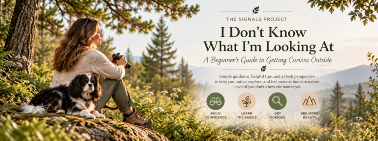 Claire and Oreo sit together in a sunlit woodland, looking out at the landscape for I Don’t Know What I’m Looking At: A Beginner’s Guide to Getting Curious Outside.