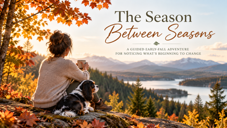 The Season Between Seasons, a guided early-fall adventure with Claire and Oreo walking through an apple orchard as autumn begins to appear.