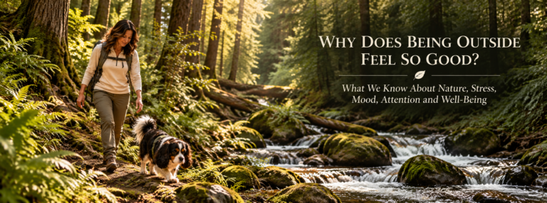 Claire Hartwell and her tricolor Cavalier King Charles Spaniel, Oreo, walk beside a rocky forest stream surrounded by ferns, moss-covered trees, and filtered sunlight.